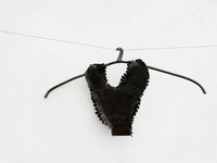 Lingerie