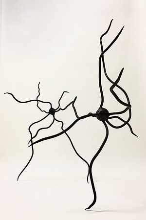 Neurones